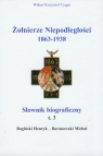 Żołnierze niepodległości 1863-1938 Tom 3 Słownik biograficzny  Cygan Wiktor Krzysztof