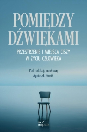 Pomiędzy dźwiękami. Przestrzenie i miejsca ciszy.. - red. naukowa Agnieszka Guzik