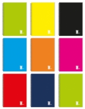 Kołozeszyt Interdruk A4/80k, kratka - UV One Color (306868)