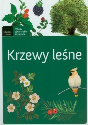 Krzewy leśne