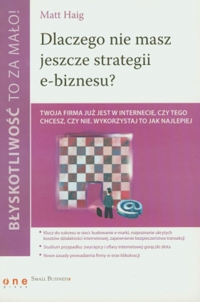 Dlaczego nie masz jeszcze strategii e-biznesu? - Haig Matt