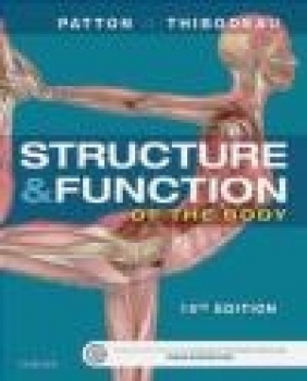 Structure Gary Thibodeau, Kevin Patton