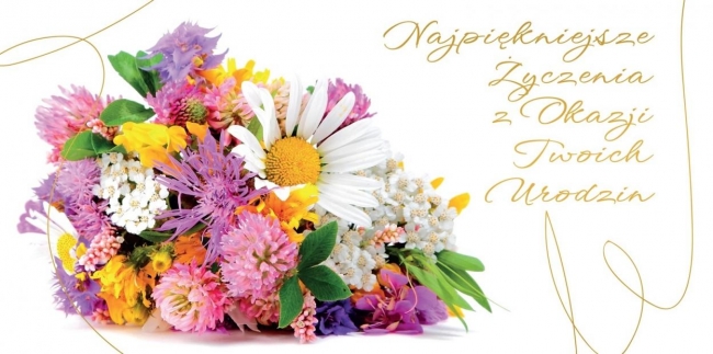 <img src='https://webimage.pl/pics/127/3/d5907582653127.jpg'>