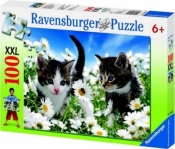 Puzzle 100 Kotki i stokrotki (106127)
