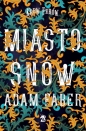 Miasto snów - Adam Faber