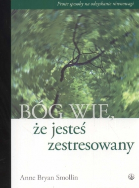 Bóg wie że jesteś zestresowany - Anne Bryan Smollin