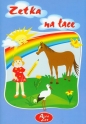 Zetka na łące