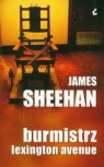 Burmistrz Lexington Avenue Sheehan James