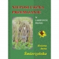 Nieposłuszna przemijaniu - Bożena Anna Śmierzyńska