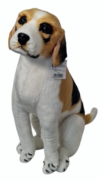 <img src='https://webimage.pl/pics/128/4/d5902496224128U1417.jpg' style='height:440px' /> Pies beagle