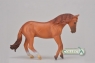 Ogier rasy Australian stock horse kasztan (004-88712)