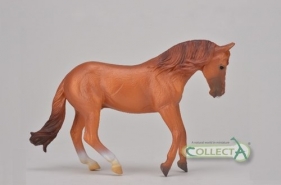 Ogier rasy Australian stock horse kasztan (004-88712)