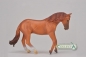 Ogier rasy Australian stock horse kasztan (004-88712)