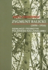 Zygmunt Balicki (1858-1916) Działacz i teoretyk polskiego nacjonalizmu Dawidowicz Aneta