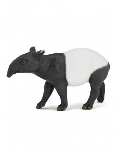 Tapir