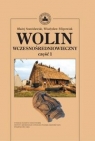 Wolin wczesnośredniowieczny Tom 1 Stanisławski Błażej, Filipowiak Władysław