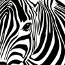 Serwetka ZEBRA EYE