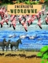 Zwierzęta wędrowne Poznaj tajemnice i zwyczaje zwierząt wędrownych