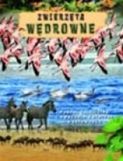 Zwierzęta wędrowne - <br />