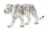 Biały tygrys ANIMAL PLANET (F7013)