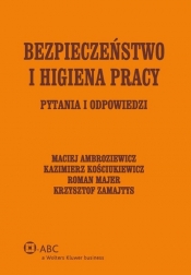 Bezpieczeństwo i higiena pracy - Kościukiewicz Kazimierz