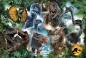 Trefl, Puzzle 300: Ulubione dinozaury (23013)