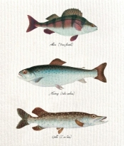 Ściereczka kuchenna Ryby