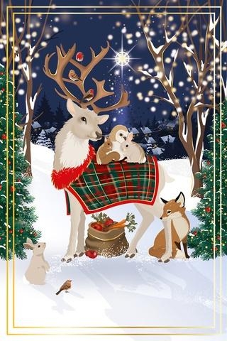 <img src='https://webimage.pl/pics/131/2/d7332824002131.jpg'>