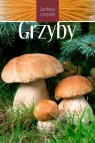 Grzyby - Spotkania z przyrodą