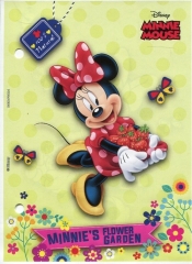 Wkład do segregatora A6 Minnie