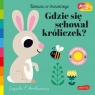 Gdzie się schował króliczek? Akademia mądrego dziecka. Zabawa w chowanego Ingela P Arrhenius