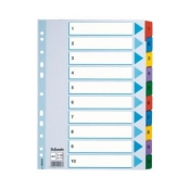 Przekładka numeryczna Esselte Mylar kartonowe A4 (mix) 1-10 mylar 160g (100161)