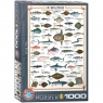Puzzle 1000 Sea Fish 6000-0313 10+
