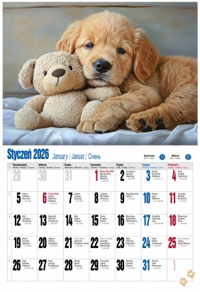 Kalendarz 2026 ścienny albumowy - Pieski
