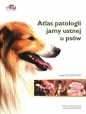 Atlas patologii jamy ustnej u psów - Javier Collados Soto