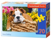 Puzzle Sweet Bulldog 70 elementów (007134)