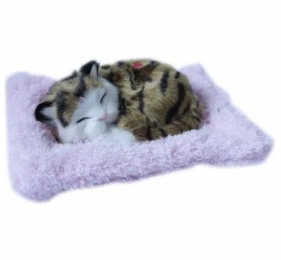 Śpiący kotek na poduszce - ciemno brązowy (107134)