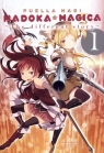 Puella Magi Madoka Magica. The different story 1