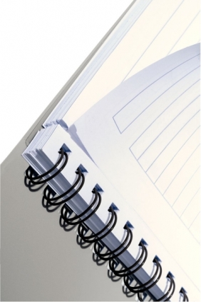 Notes Leitz EXECUTIVE A4 80k. linia (44620000)