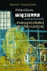 Podkultura więzienna wielowymiarowość rzeczywistości penitencjarnej Przybyliński Sławomir