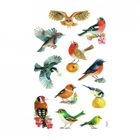 Naklejki kreatywne Z Design - Ptaki (55713)