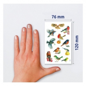 Naklejki kreatywne Z Design - Ptaki (55713)