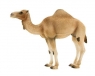Wielbłąd arabski (dromader) ANIMAL PLANET (87113)