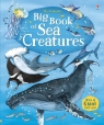 Big Book of Sea Creatures Lacey Minna
