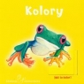 Kolory