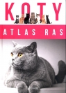 Koty Atlas ras