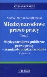 Międzynarodowe prawo pracy Tom 1 Międzynarodowe publiczne prawo pracy Andrzej Marian Świątkowski