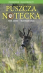 Puszcza Notecka - Paweł Anders, Władysław Kusiak