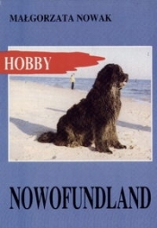 Nowofunland