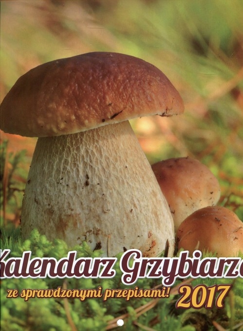Kalendarz 2017 KAD-6 Kalendarz Grzybiarza